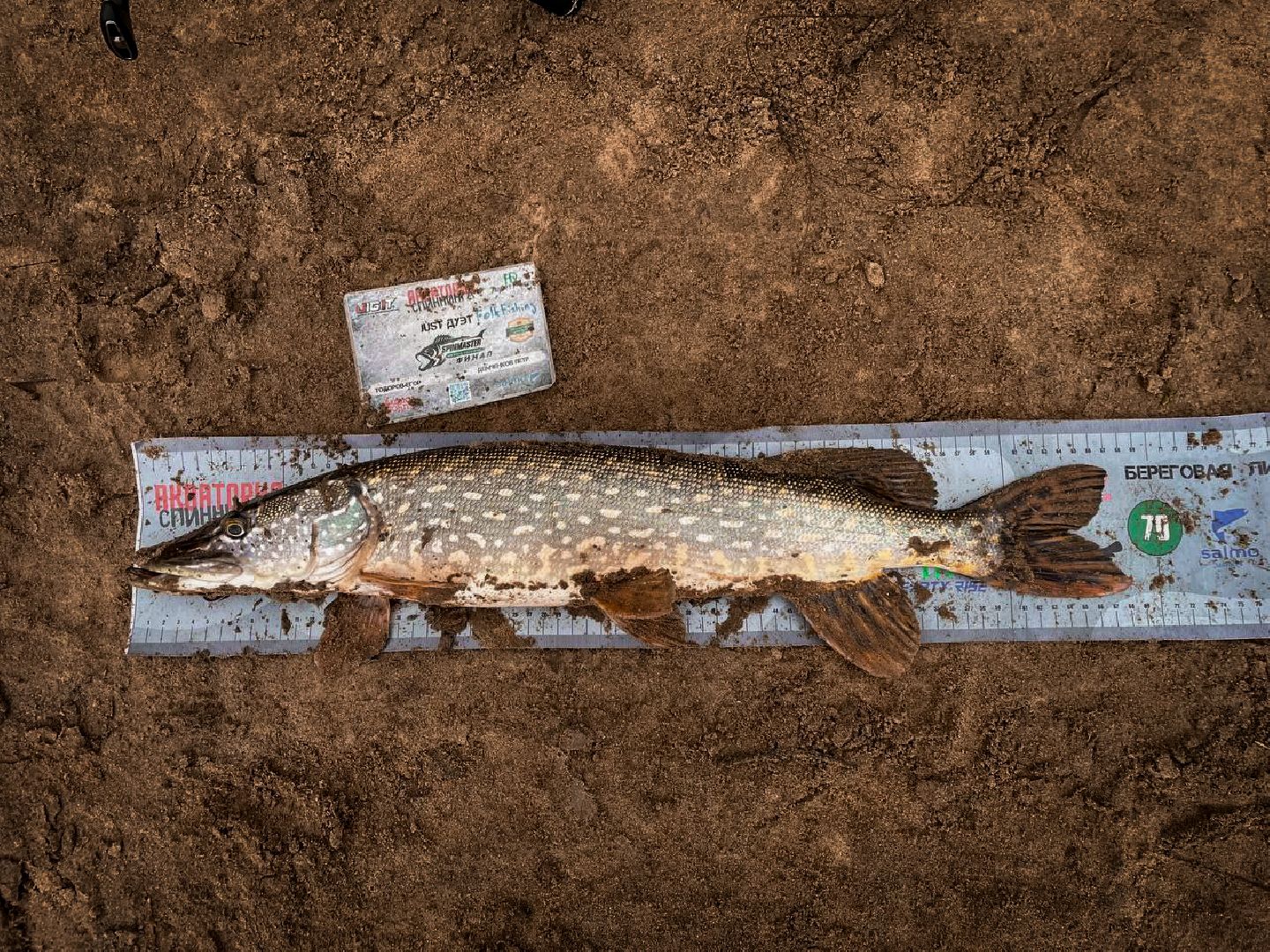 бронницы, рыболовный спорт в бронницах, турнир по ловле рыбы на спининг, парк бронницкий луг,