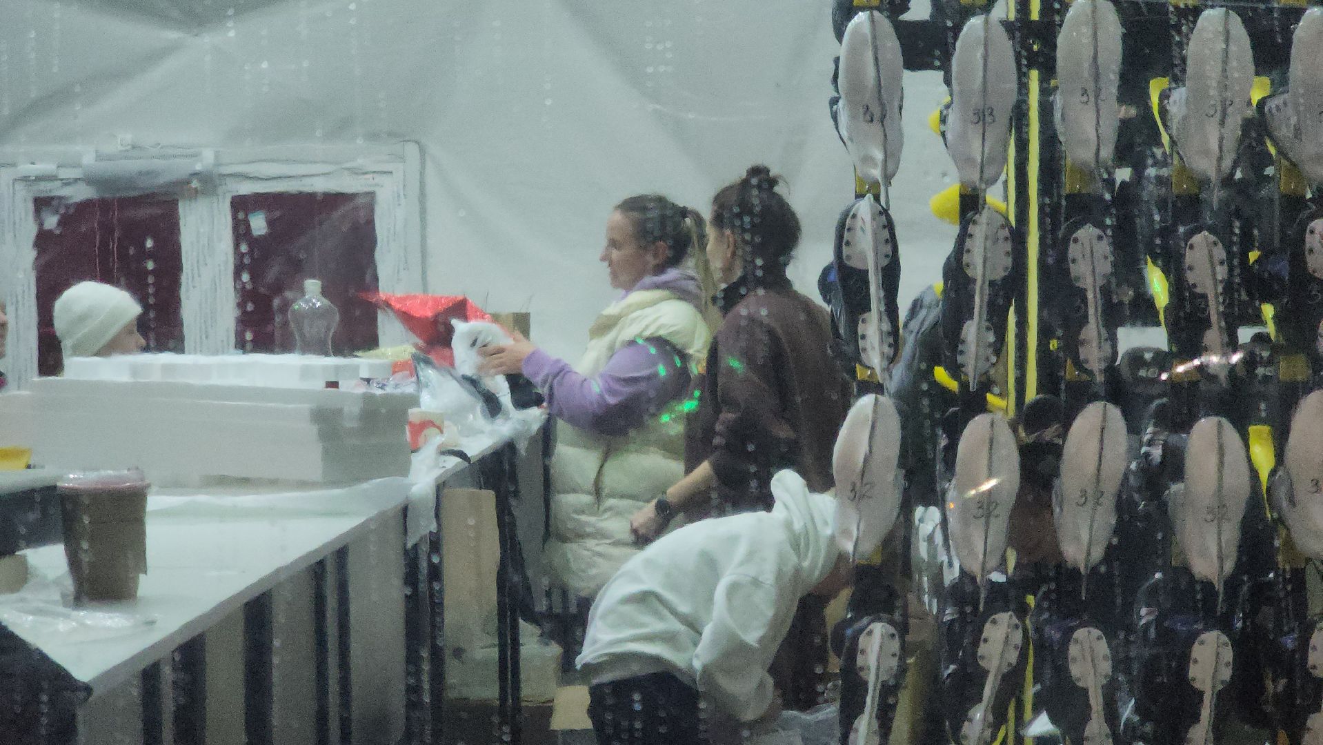 долгопрудный,  центральный парк, каток, новогодняя инсталляция,прокат коньков,