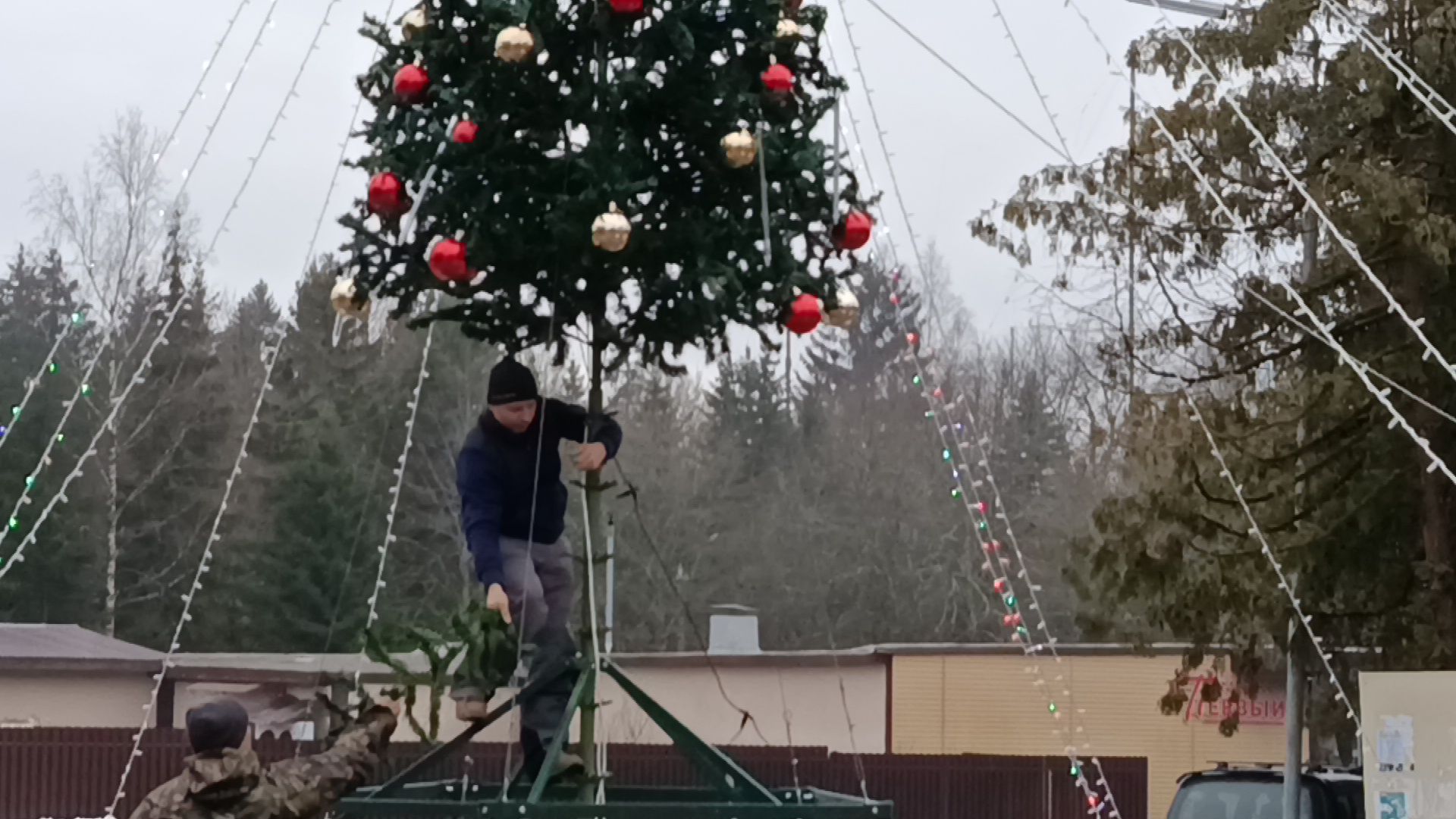 городской округ восход, благоустройство, новогодняя елка, ёлка, новый год,