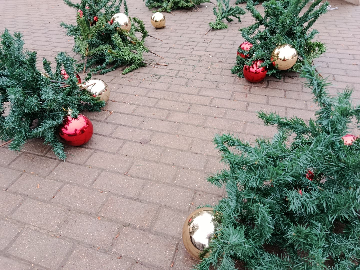 городской округ восход, благоустройство, новогодняя елка, ёлка, новый год,