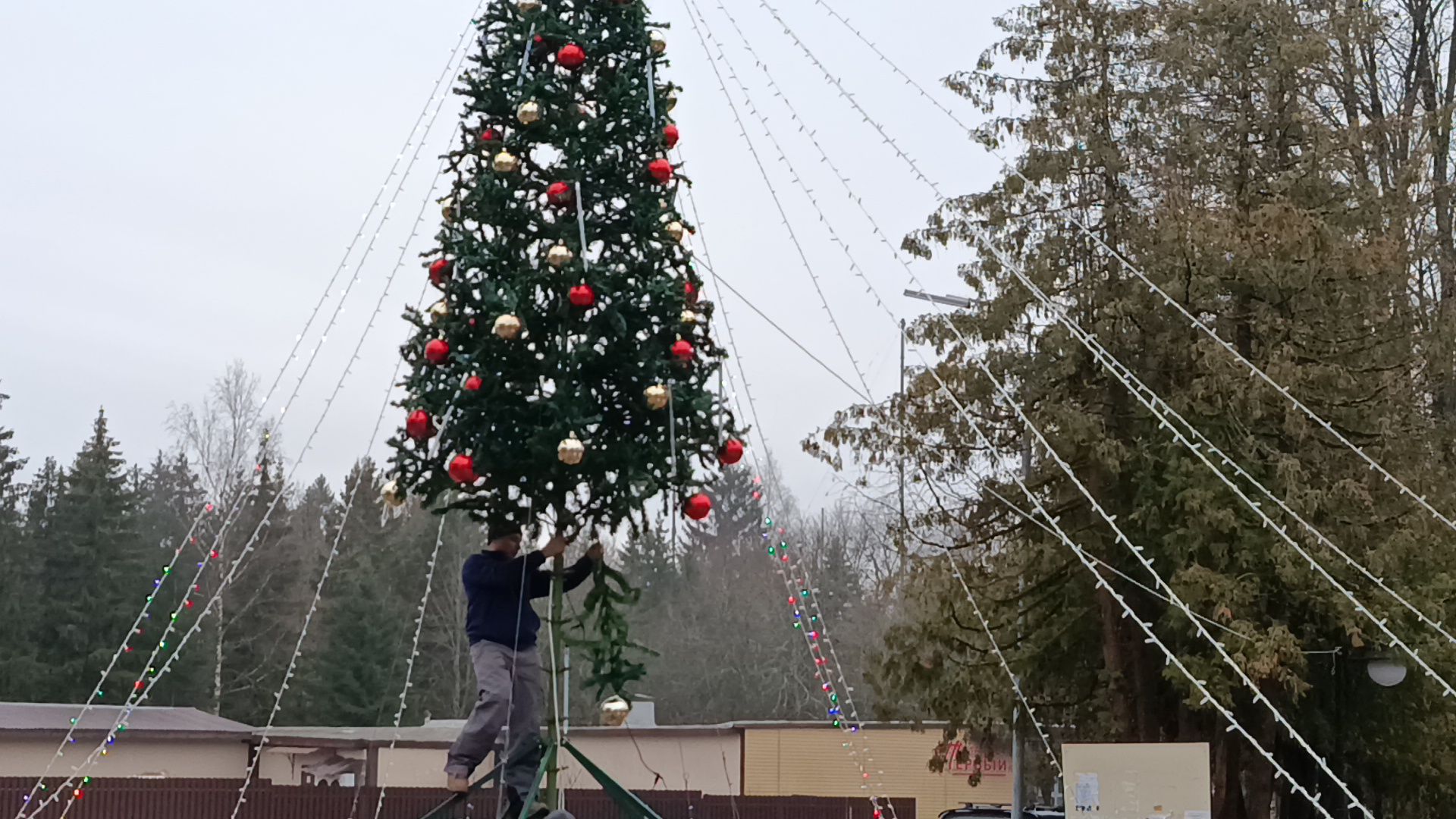 городской округ восход, благоустройство, новогодняя елка, ёлка, новый год,