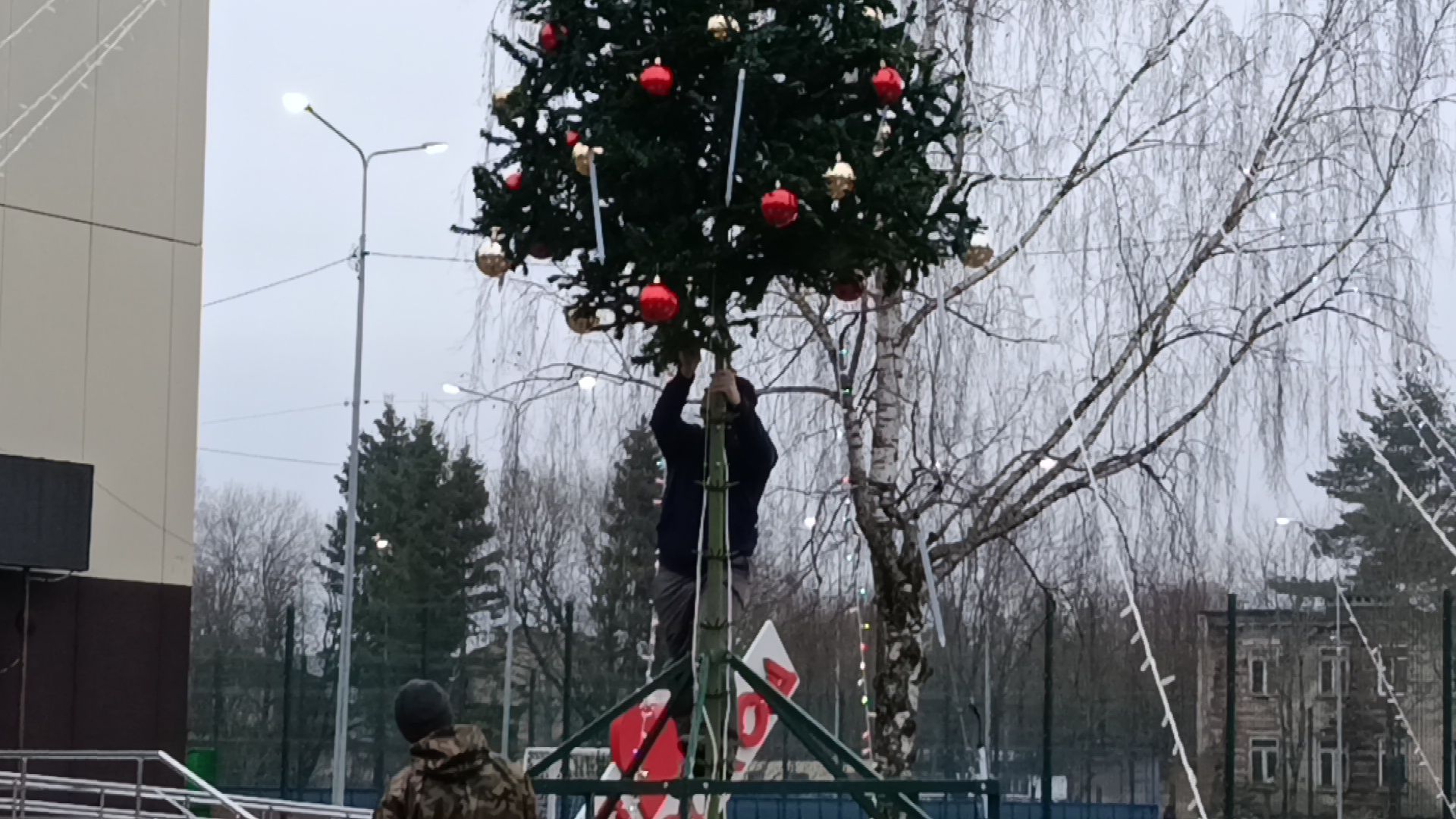 городской округ восход, благоустройство, новогодняя елка, ёлка, новый год,