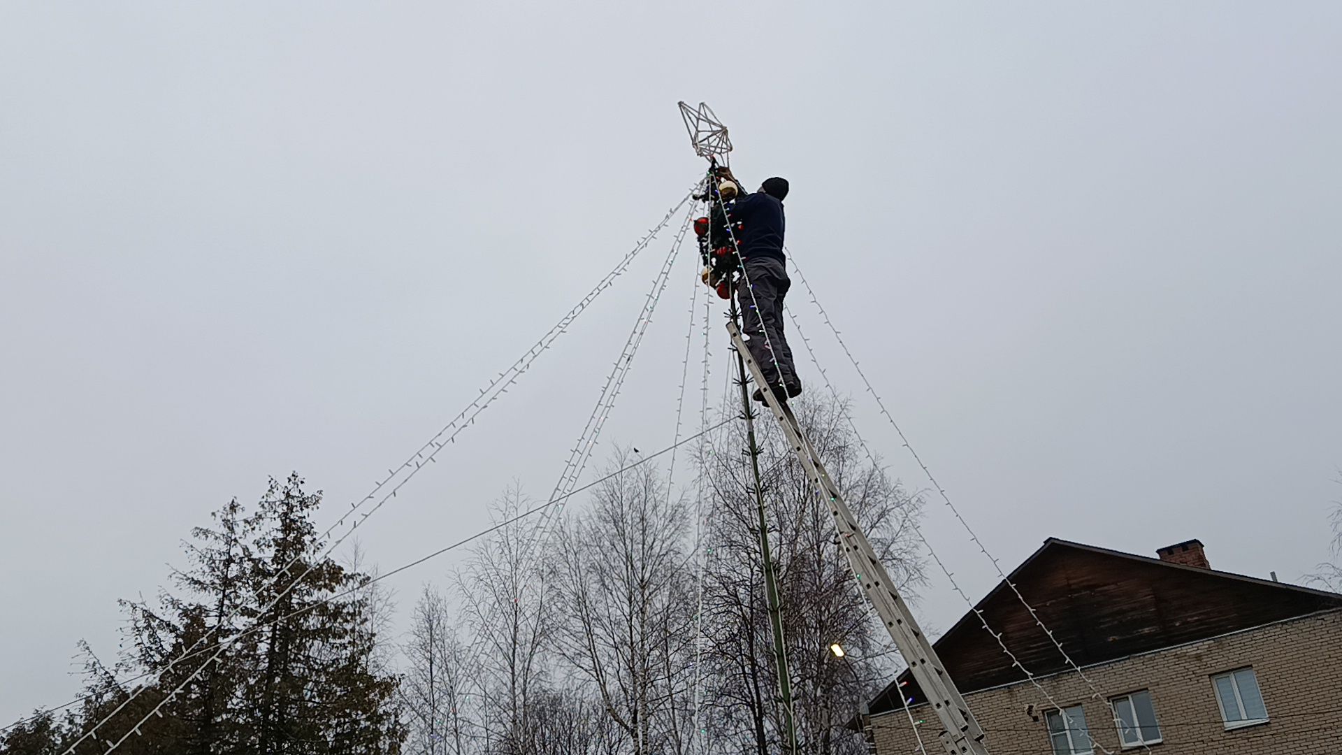 городской округ восход, благоустройство, новогодняя елка, ёлка, новый год,