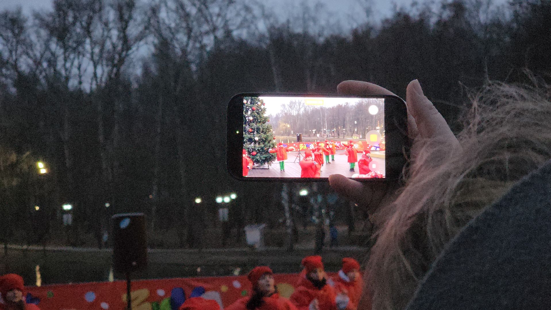 зажжение елки, зима в подмомсковье, парки красногорска,парк ивановские пруды,