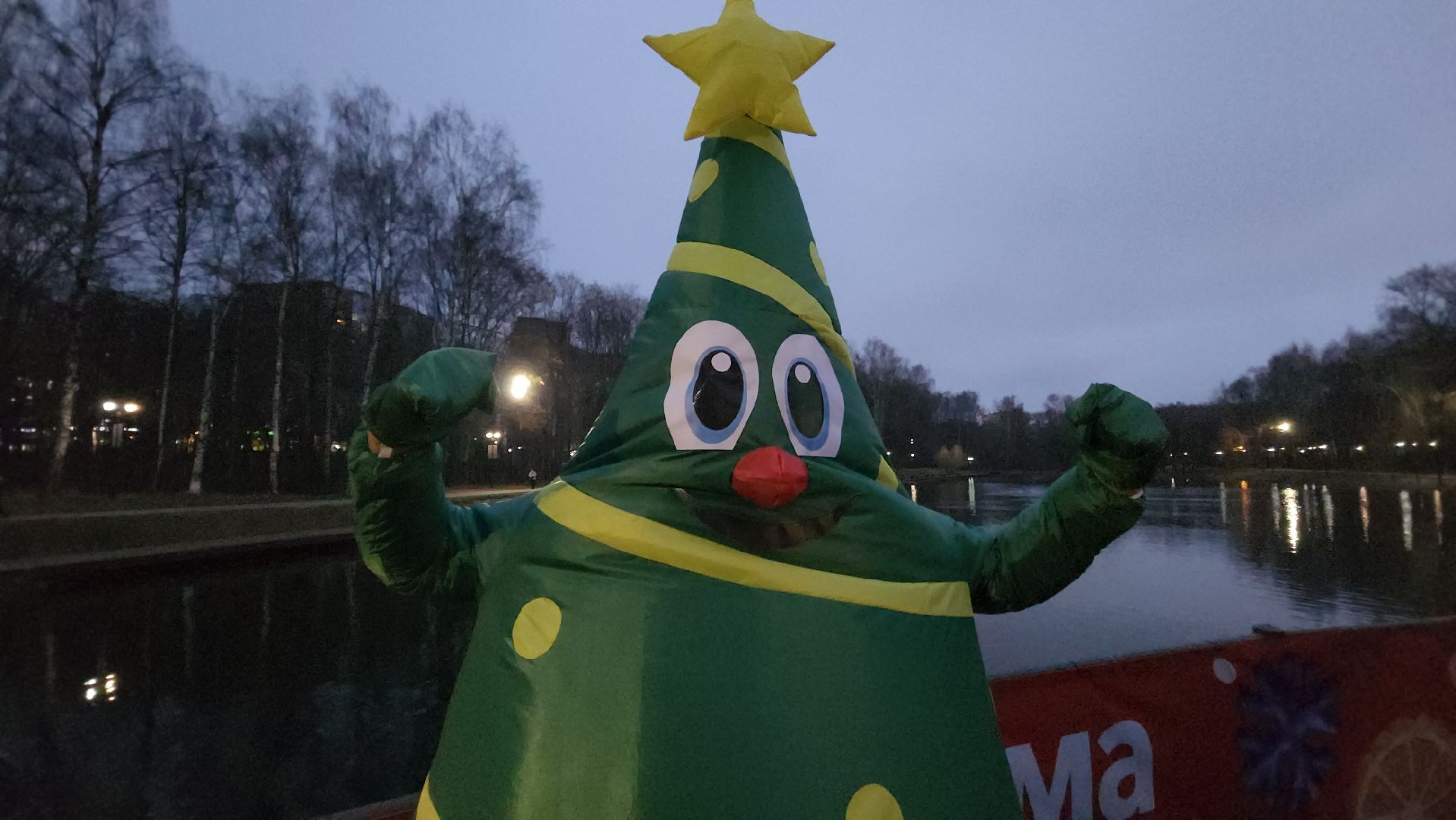 зажжение елки, зима в подмомсковье, парки красногорска,парк ивановские пруды,