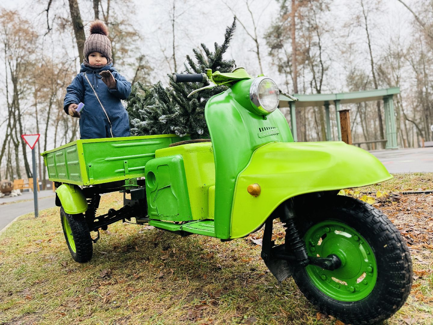 новый год, новогодние украшения, украшение города к новому году, раменское, раменский городской парк,
