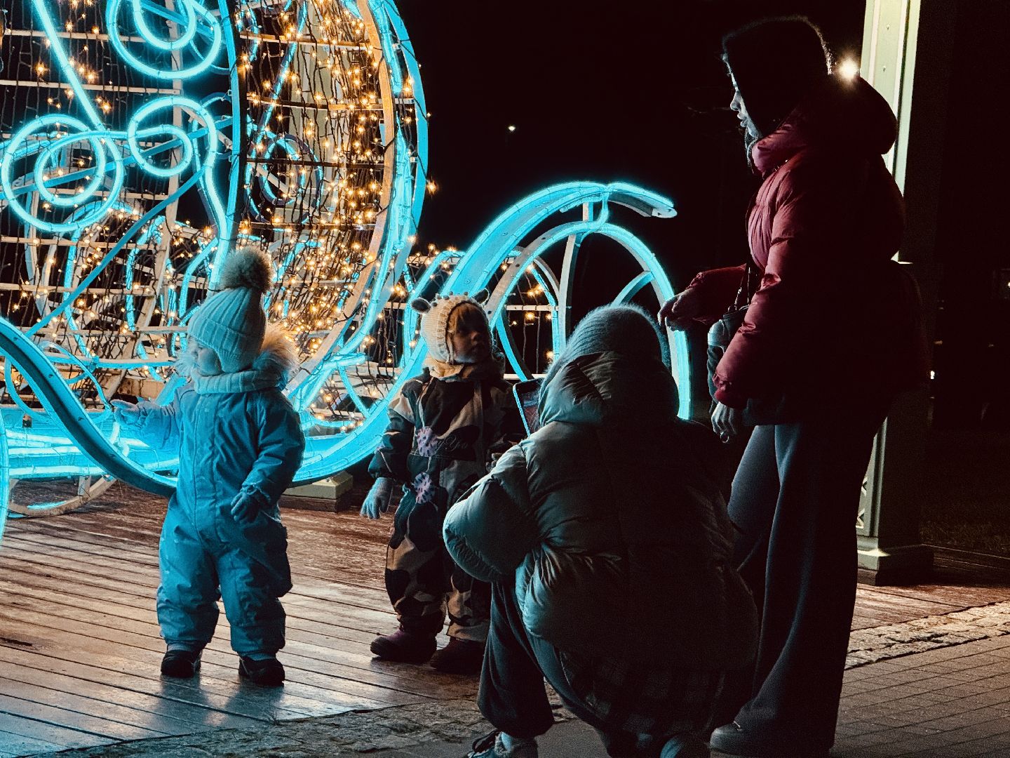 раменское, новый год, новый год 2026, зажжение огней, открытие зимнего сезона, раменский городской парк,