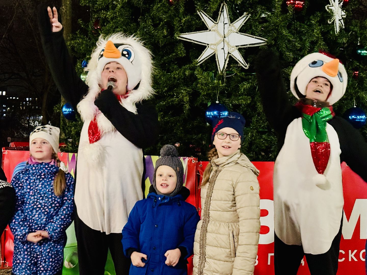 раменское, новый год, новый год 2026, зажжение огней, открытие зимнего сезона, раменский городской парк,