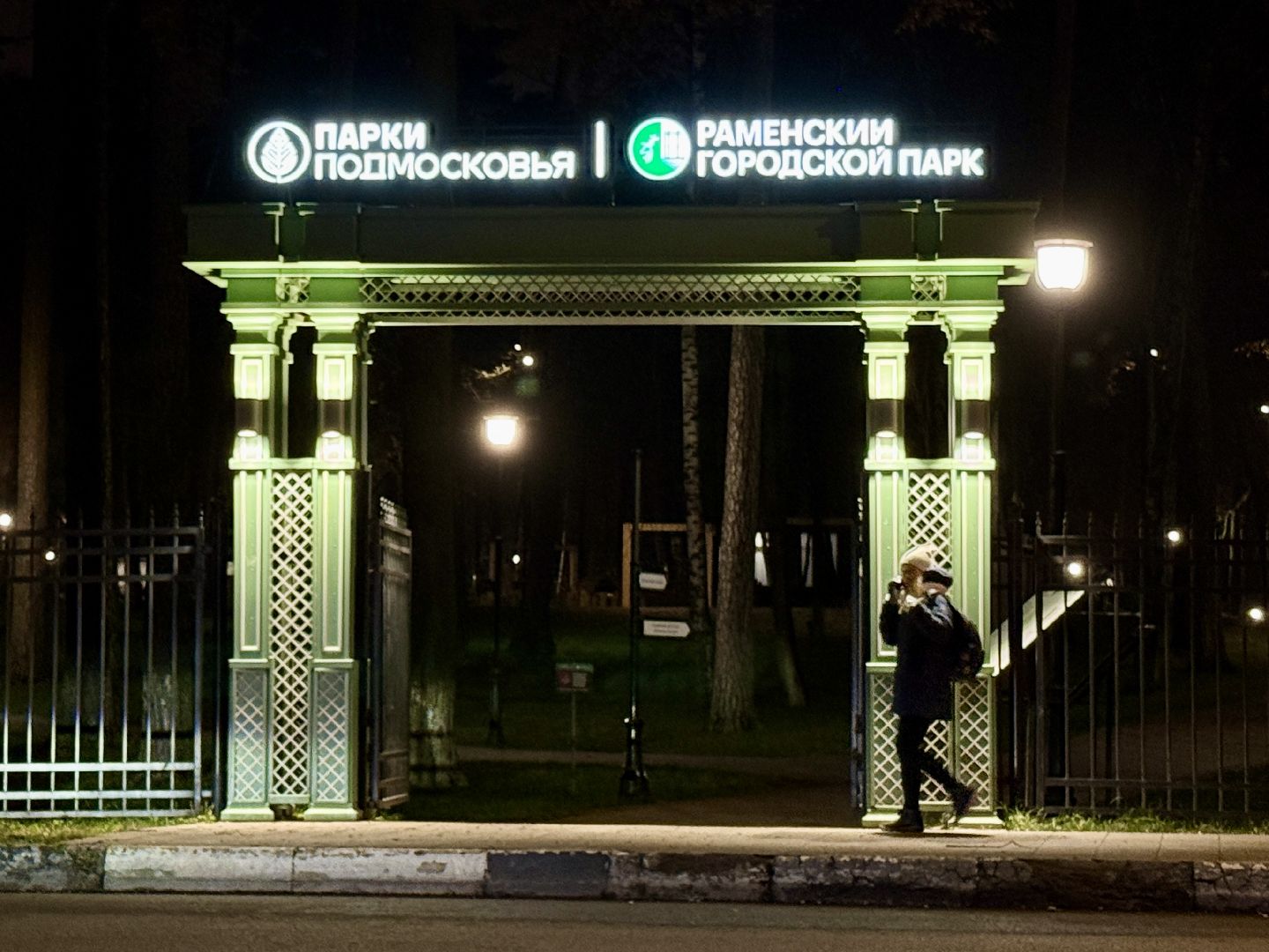 раменское, новый год, новый год 2026, зажжение огней, открытие зимнего сезона, раменский городской парк,