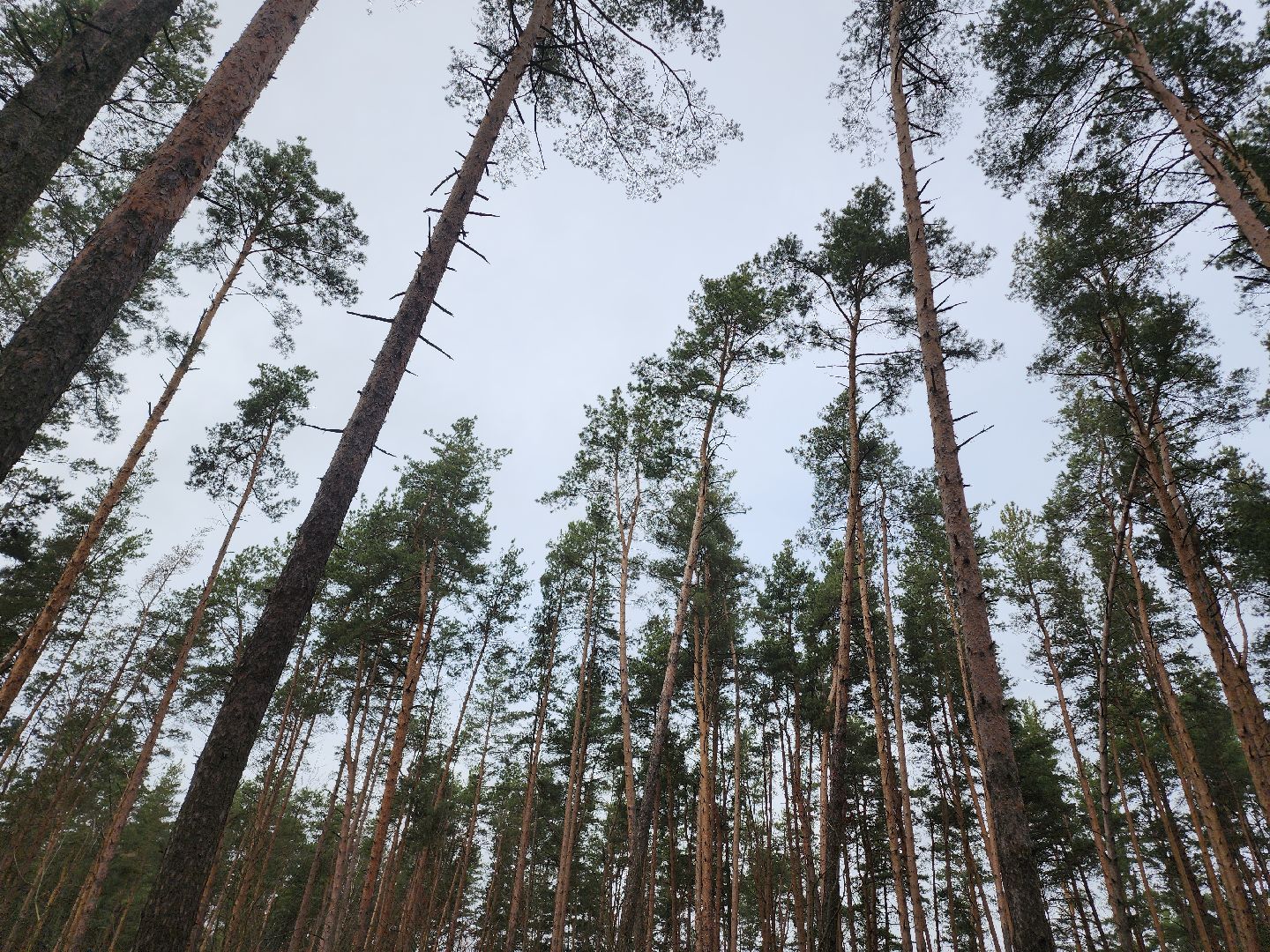 Егорьевск, Подмосковье, Московская область,