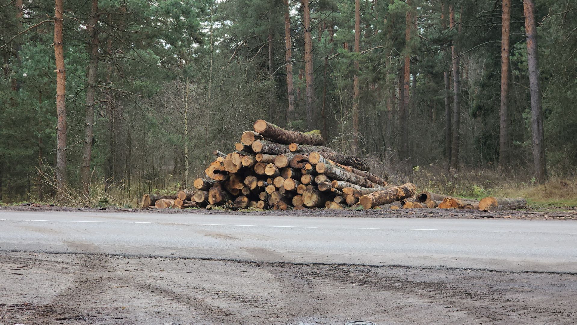 Егорьевск, Подмосковье, Московская область,