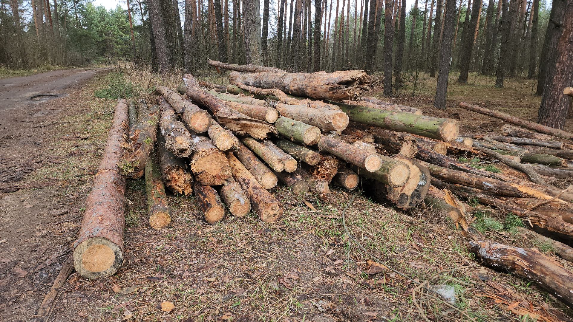 Егорьевск, Подмосковье, Московская область,