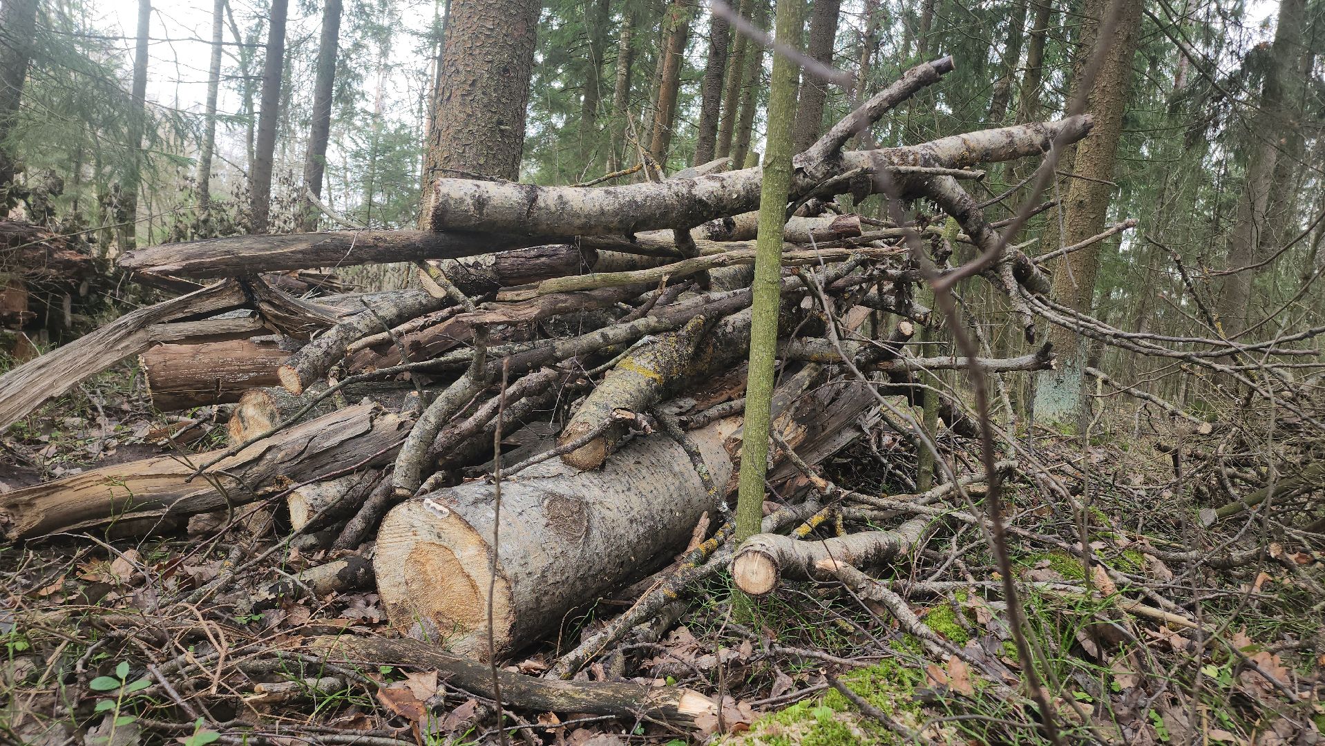 Егорьевск, Подмосковье, Московская область,