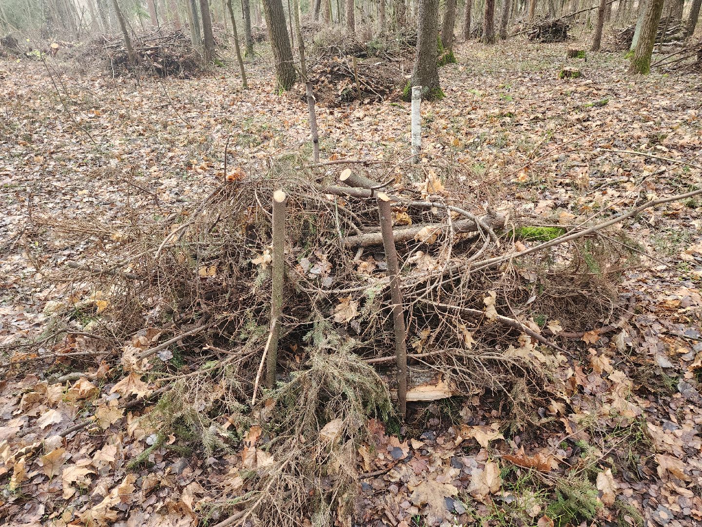 Егорьевск, Подмосковье, Московская область,