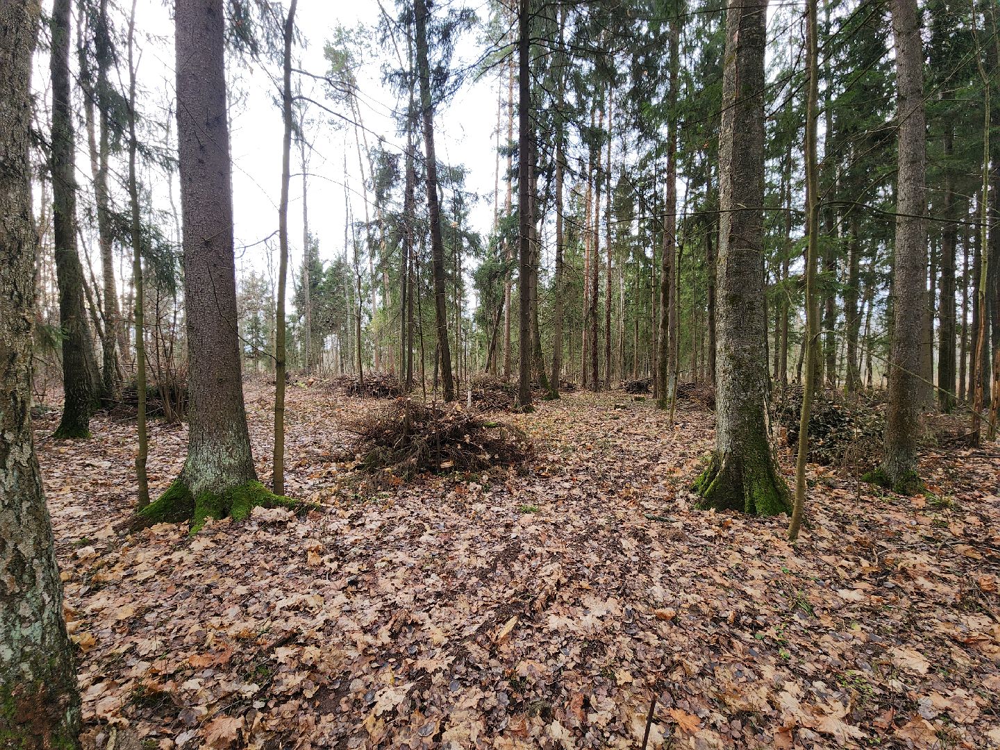 Егорьевск, Подмосковье, Московская область,