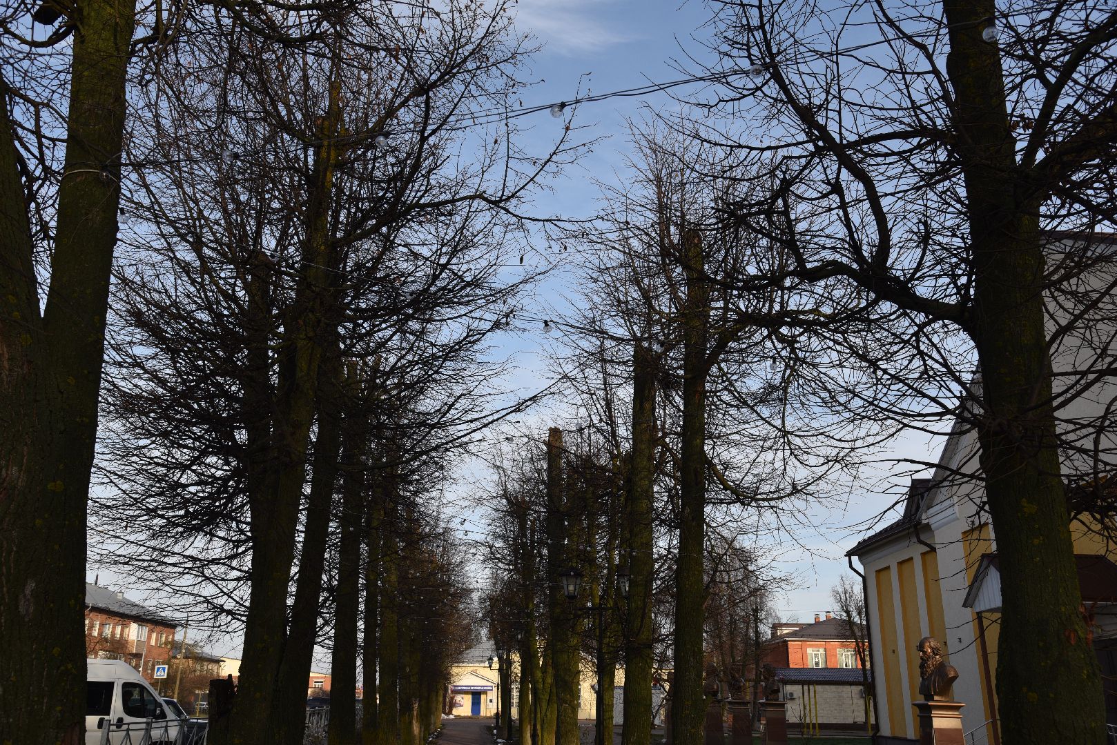 лотошино, лотошинский парк, новый год,