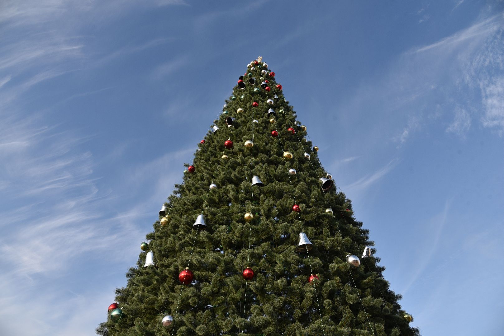 лотошино, лотошинский парк, новый год,