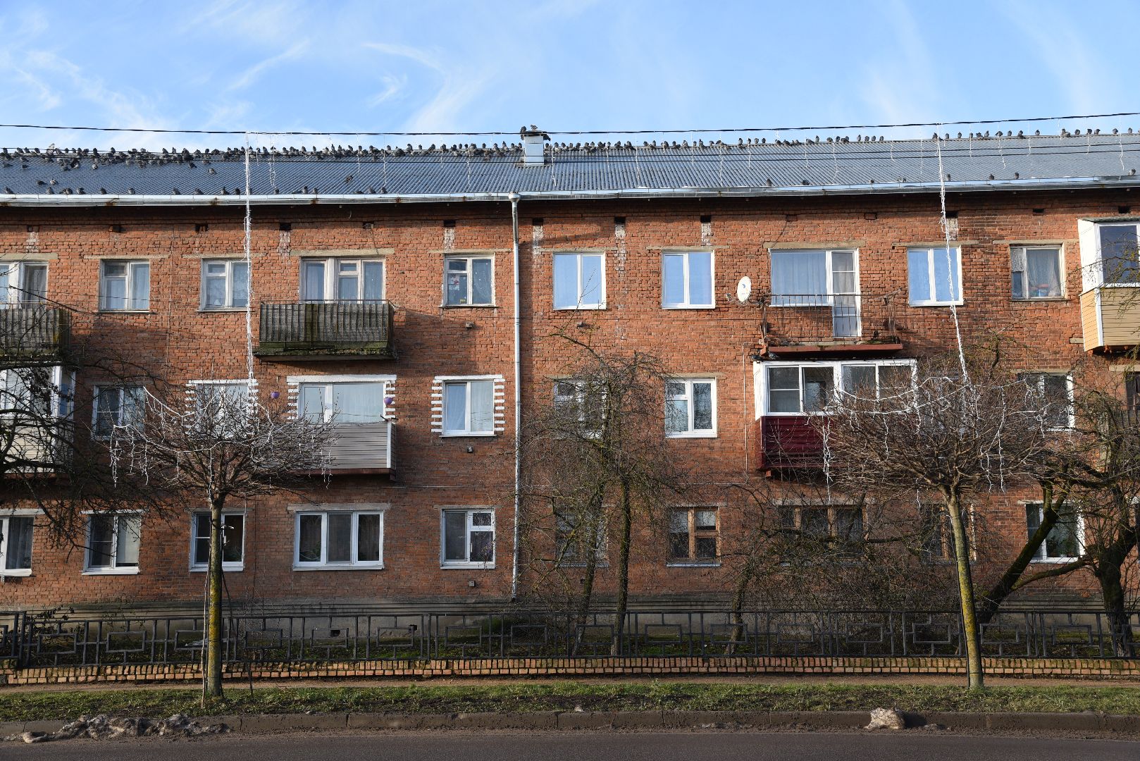 лотошино, лотошинский парк, новый год,