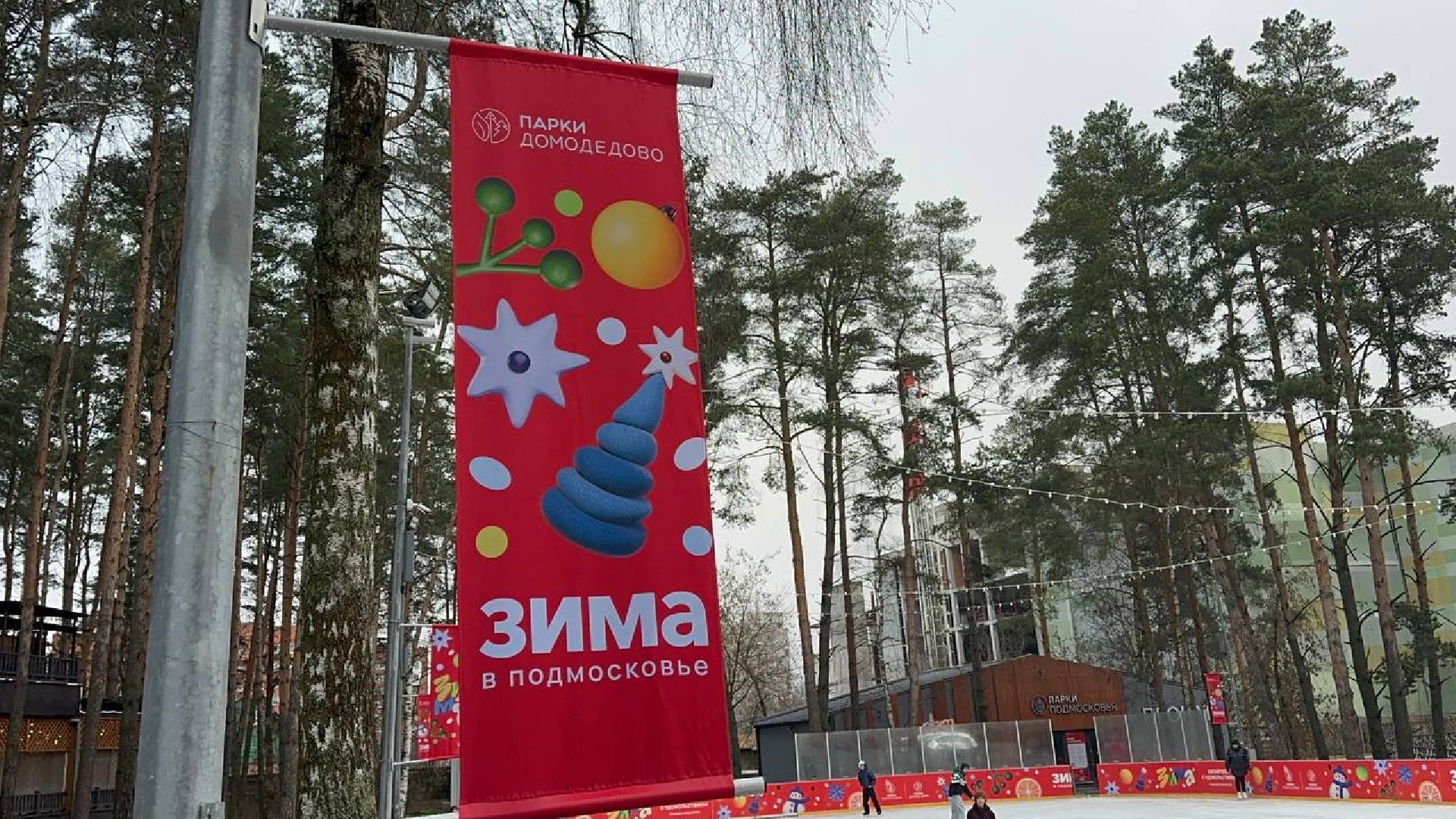 новый год, зима в подмосковье, домодедово,