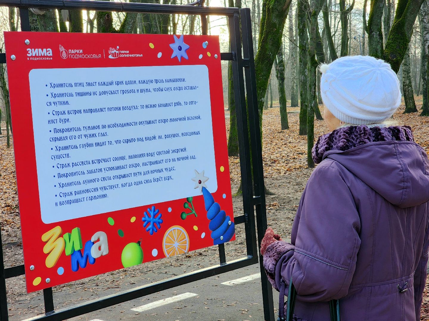 солнечногорск, зима, новый год, праздник ,