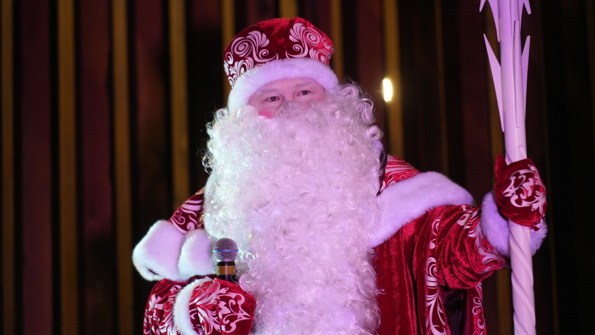 зима, елка, зима в подмомсковье, новый год,