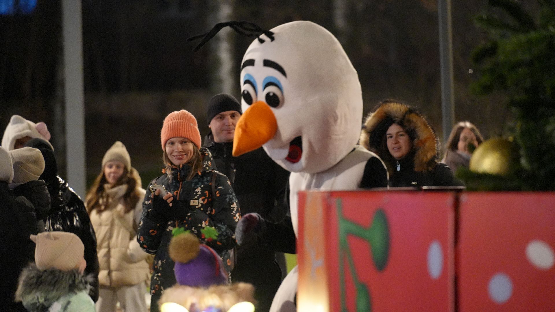 зима, елка, зима в подмомсковье, новый год,