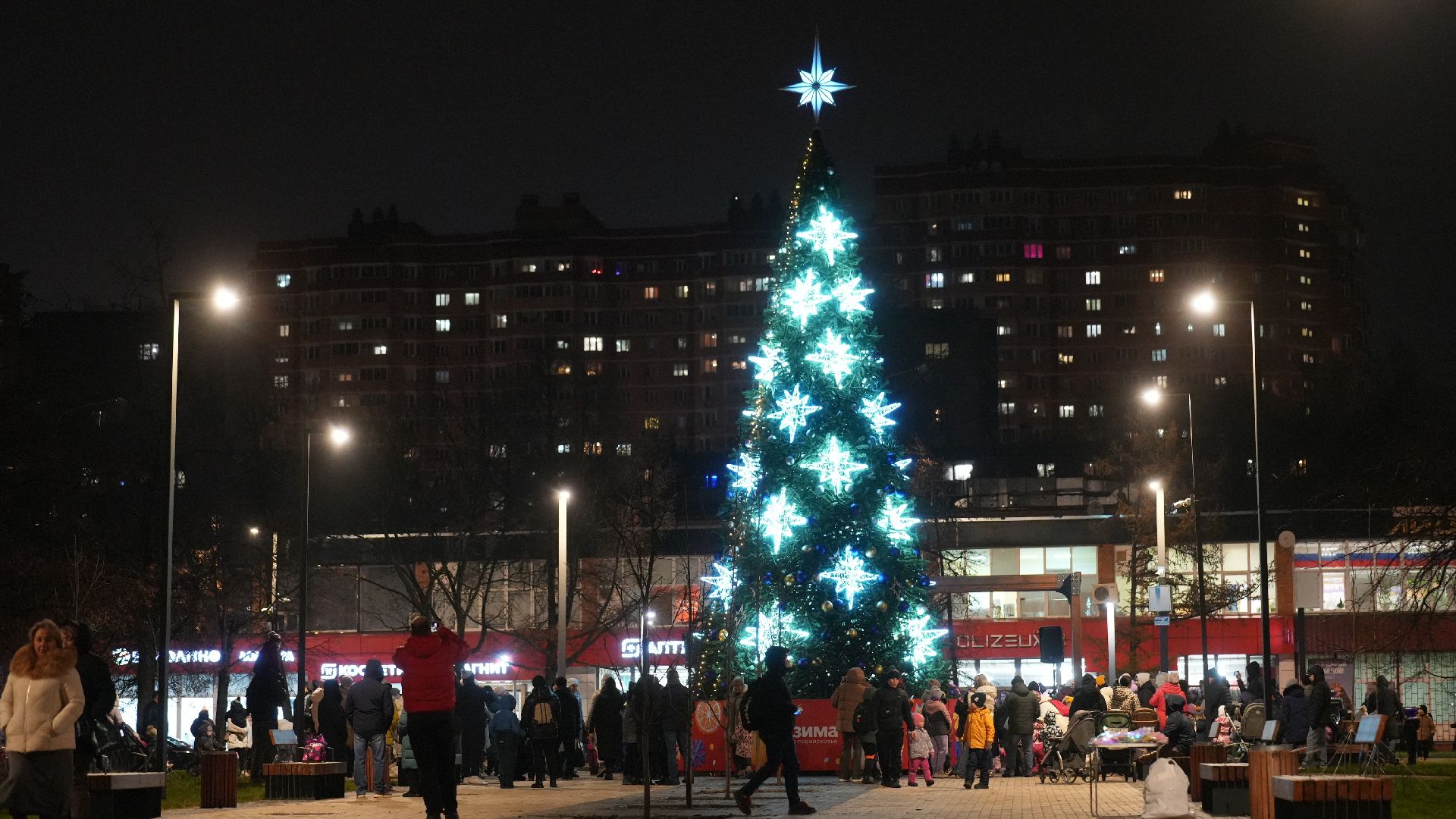 зима, елка, зима в подмомсковье, новый год,