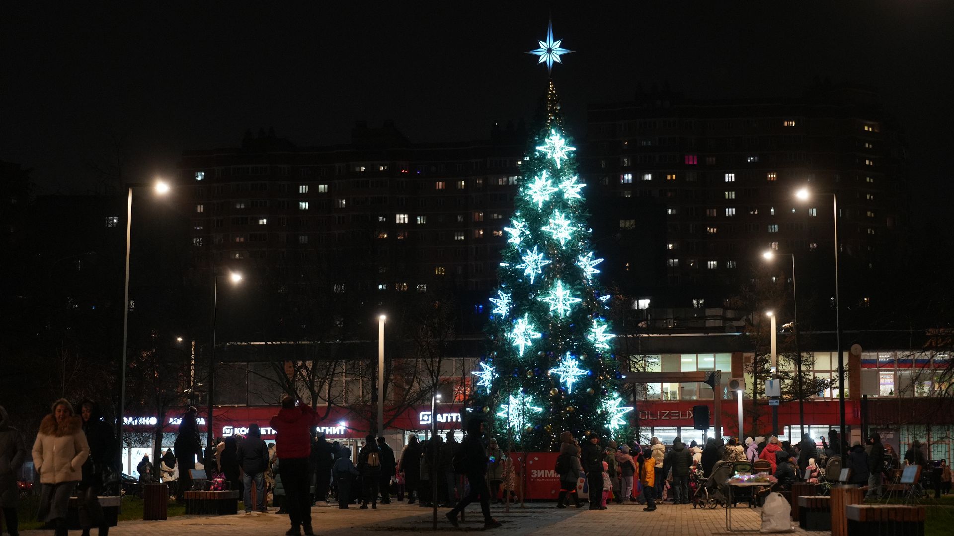 зима, елка, зима в подмомсковье, новый год,