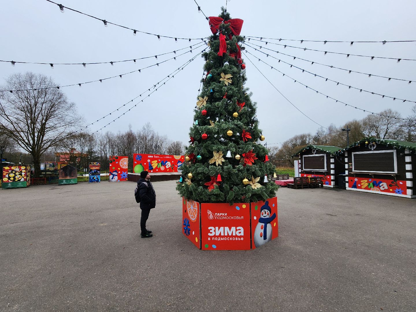 чехов, зима в подмосковье, проект губернатора московской области, городской парк, советская площадь, центральные улицы, украшения, фирменные баннеры, новогодние ели, гирлянды и игрушки, световые инсталляции, световые конструкции, плакаты,акции, елка желаний,