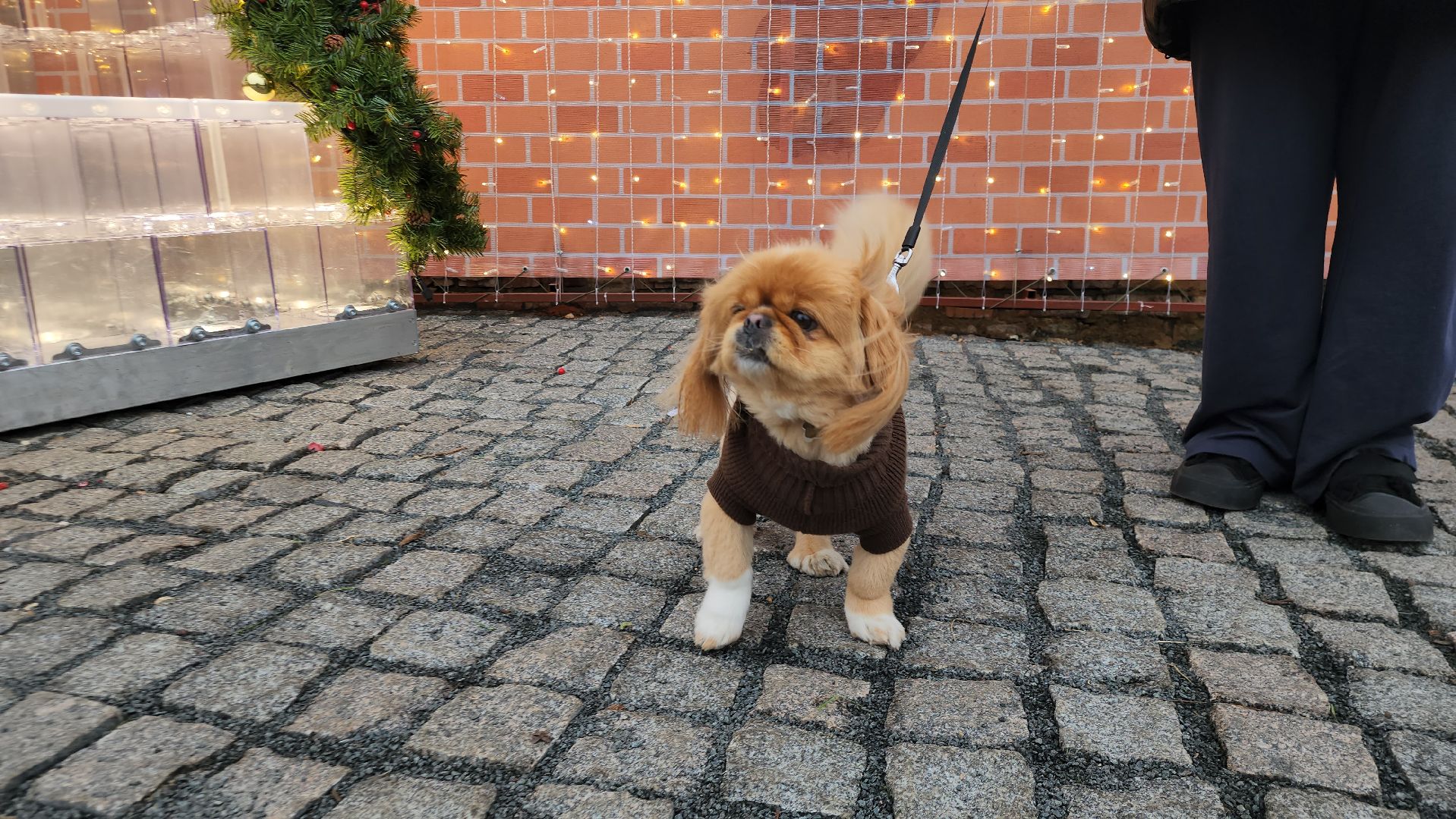 Истра, Украшение города, Новый год,