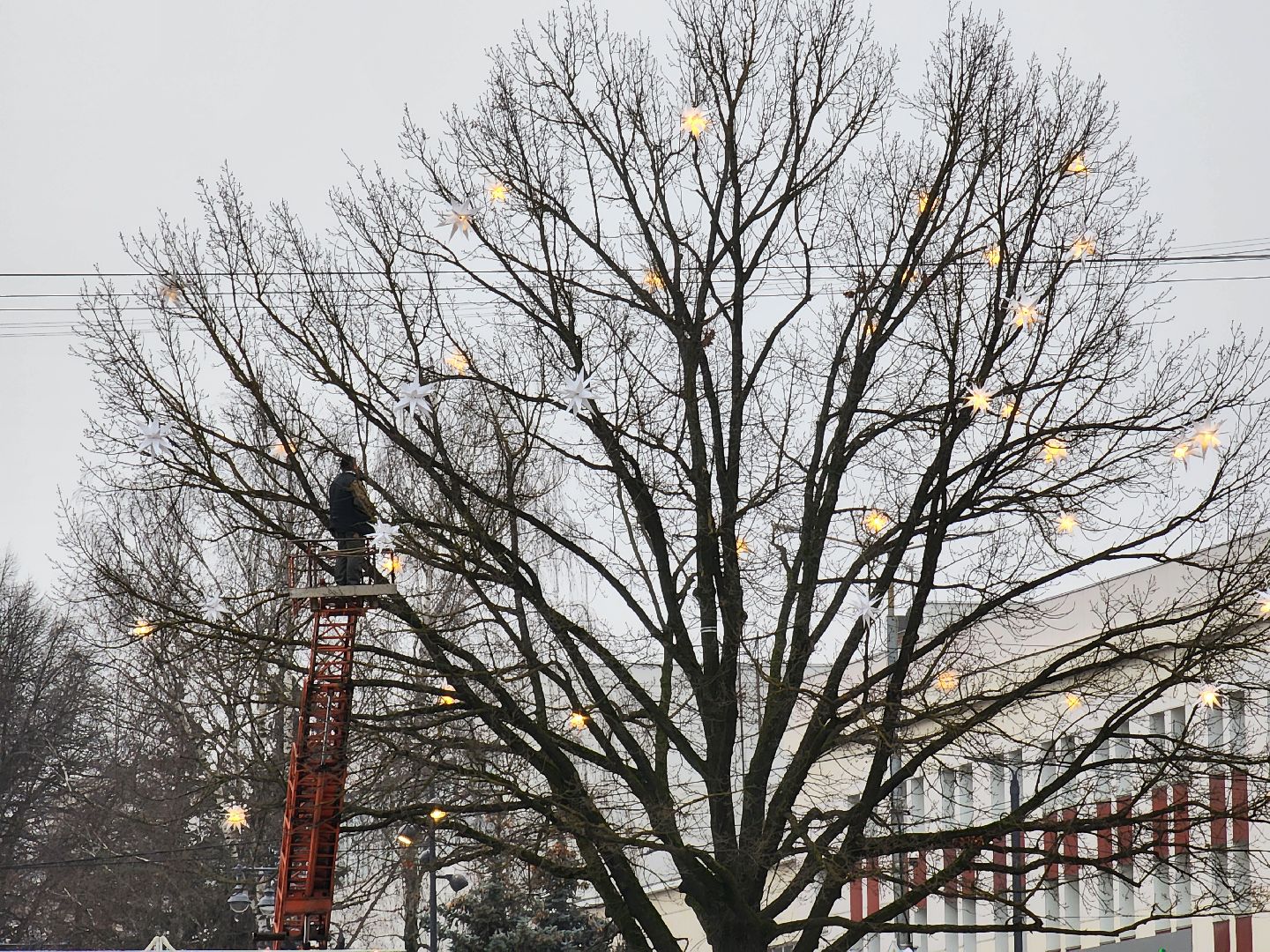 Ногинск, Украшения, Новый год, Сквер, Елка, Общество,