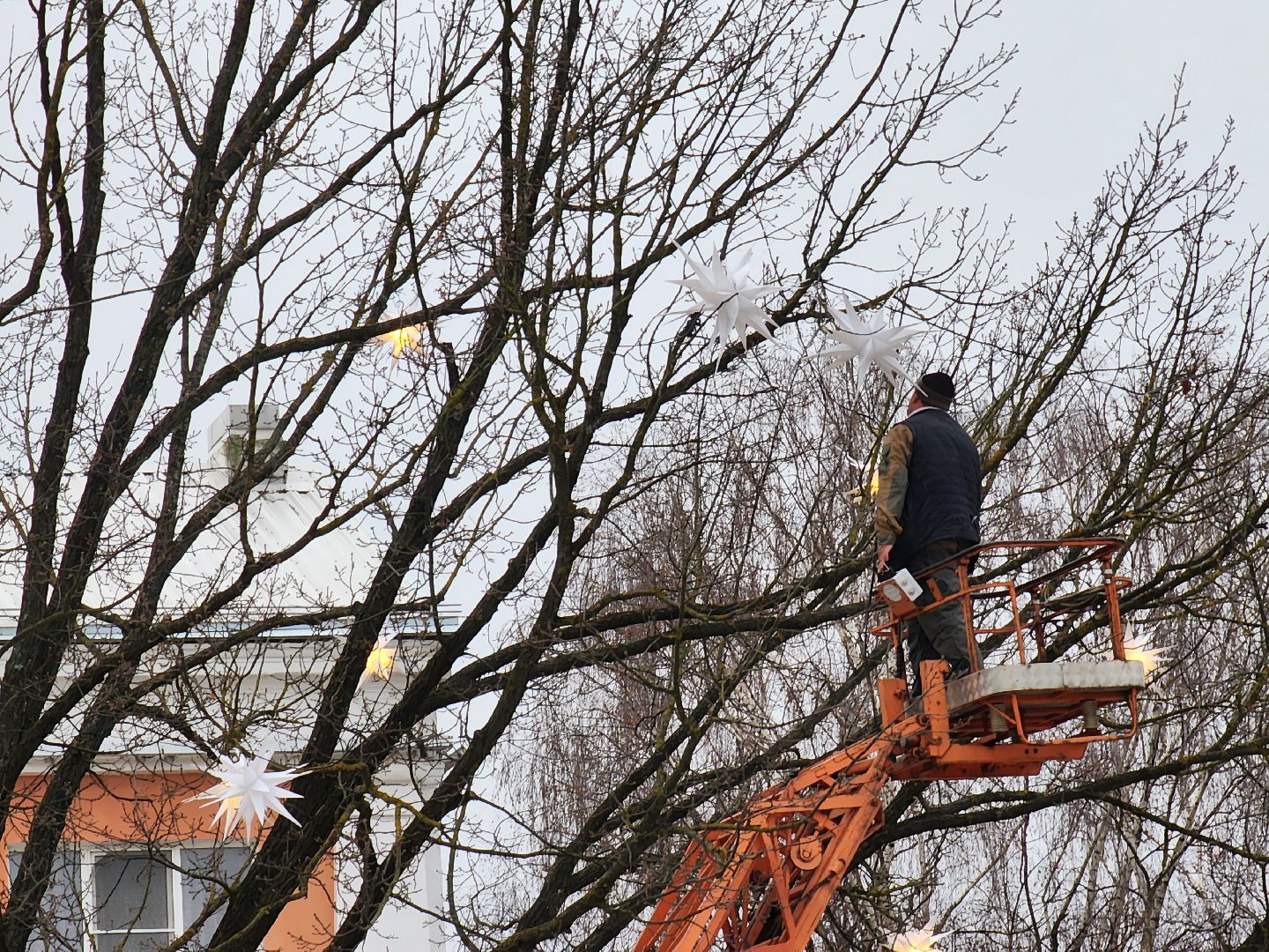 Ногинск, Украшения, Новый год, Сквер, Елка, Общество,