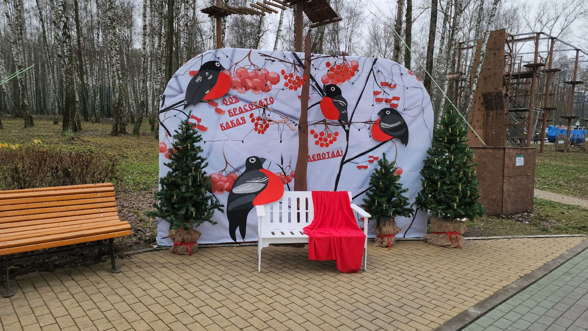 кашира, зимний сезон, парк, украшения, новый год, фотозона,