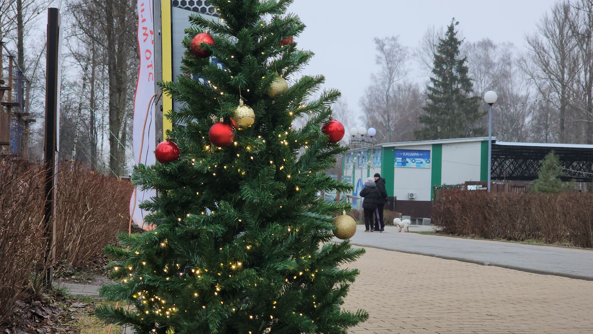 кашира, зимний сезон, парк, украшения, новый год, фотозона,