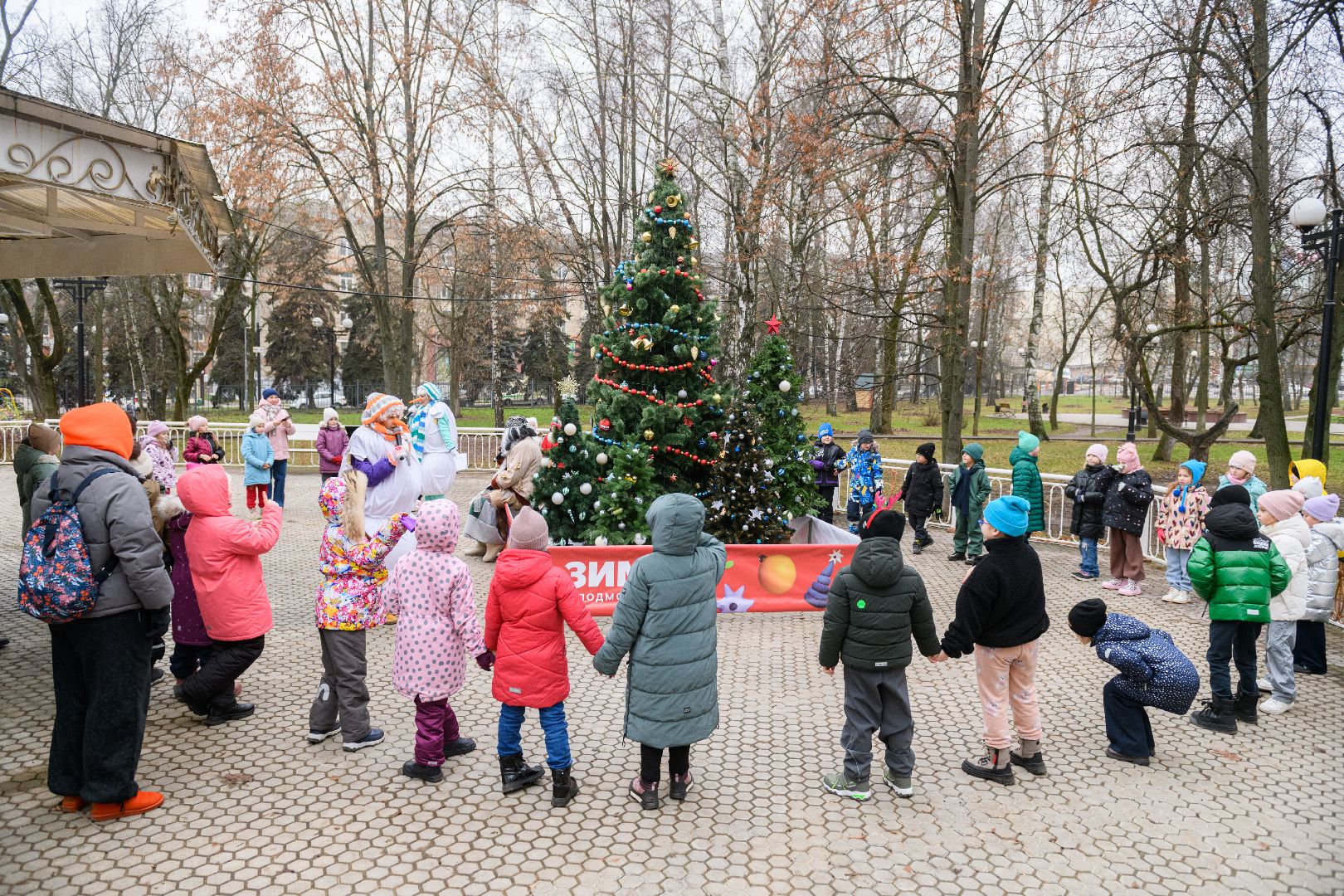 лыткарино, общество, зима в подмомсковье, зима 2025,