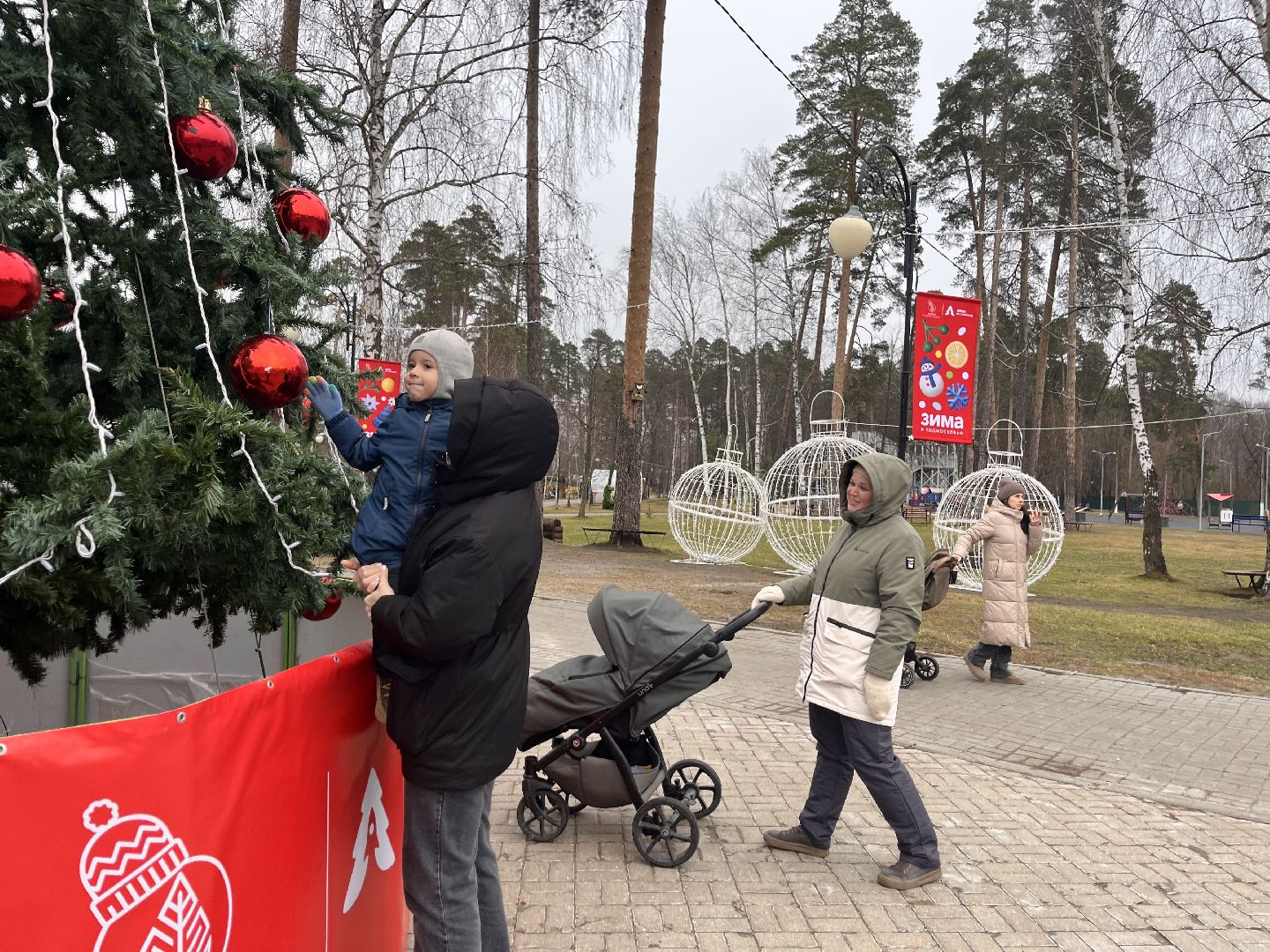 шатура, зима в подмомсковье, шатура парк, рошаль,