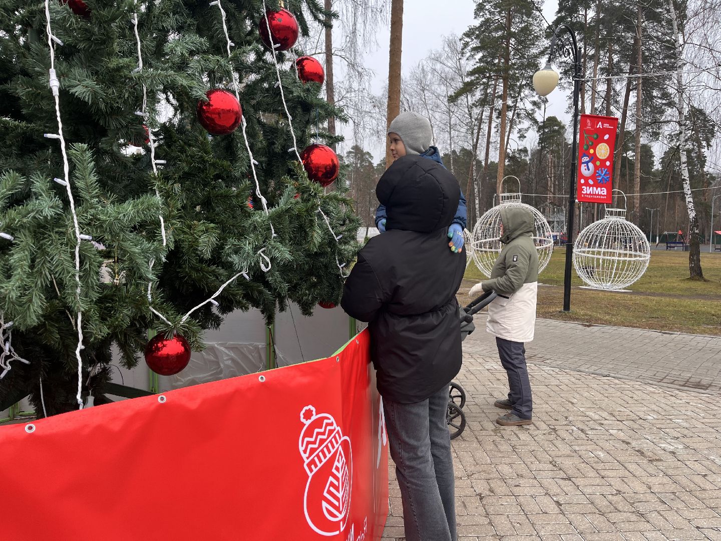 шатура, зима в подмомсковье, шатура парк, рошаль,
