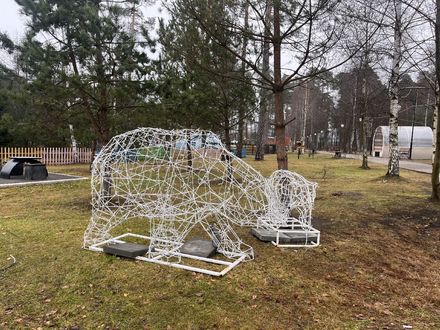 шатура, зима в подмомсковье, шатура парк, рошаль,