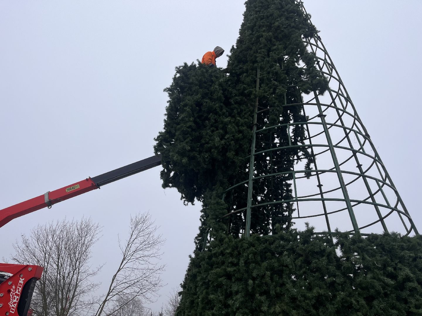шатура, зима в подмомсковье, шатура парк, рошаль,