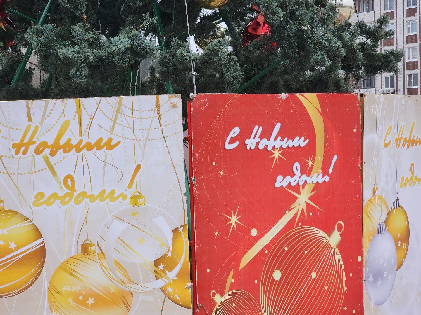 Черноголовка, Новый год, Новогодние елки,