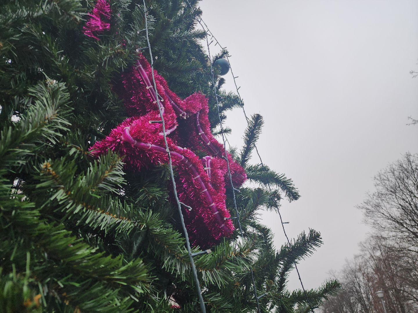 Черноголовка, Новый год, Новогодние елки,