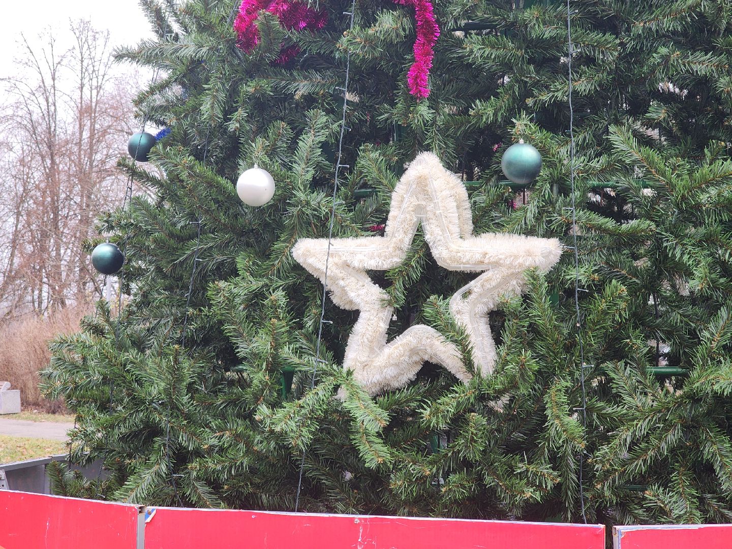 Черноголовка, Новый год, Новогодние елки,