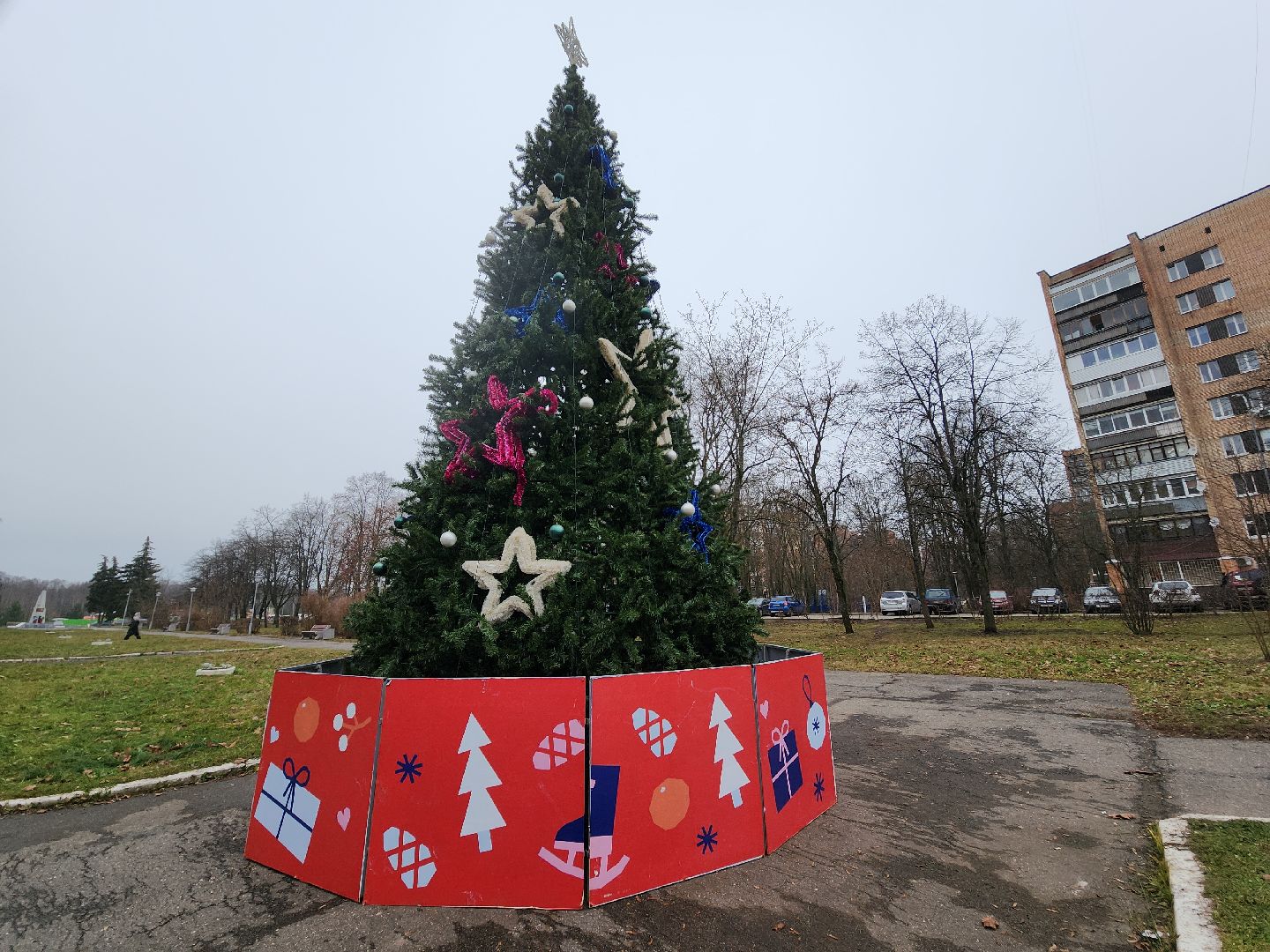 Черноголовка, Новый год, Новогодние елки,