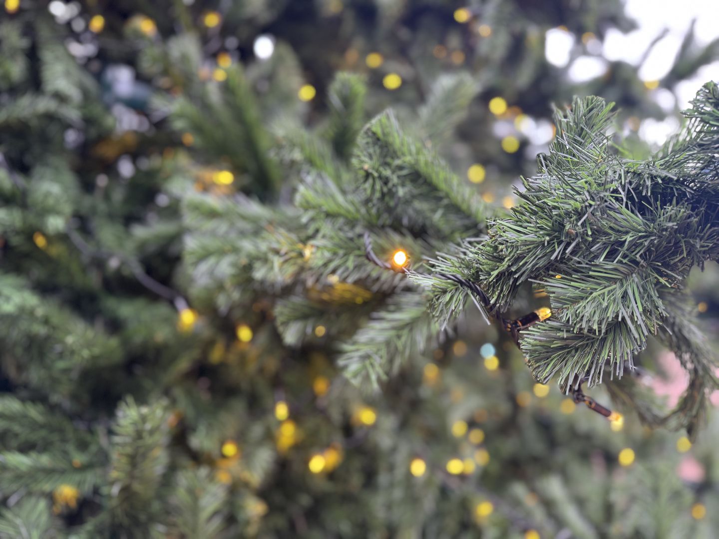 Балашиха готовится к новогодним праздникам 2025, балашиха парк пехорка,