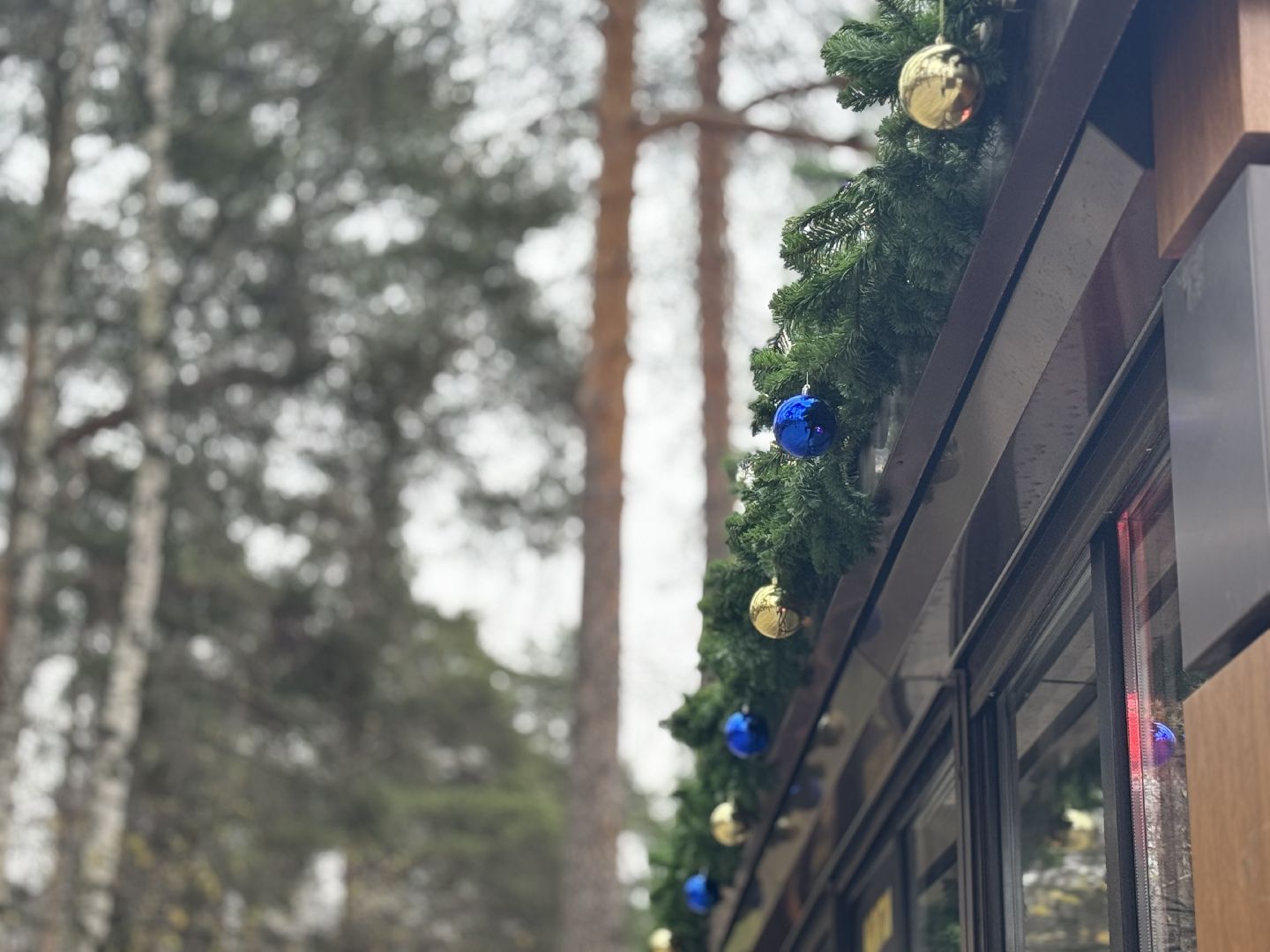 Балашиха готовится к новогодним праздникам 2025, балашиха парк пехорка,