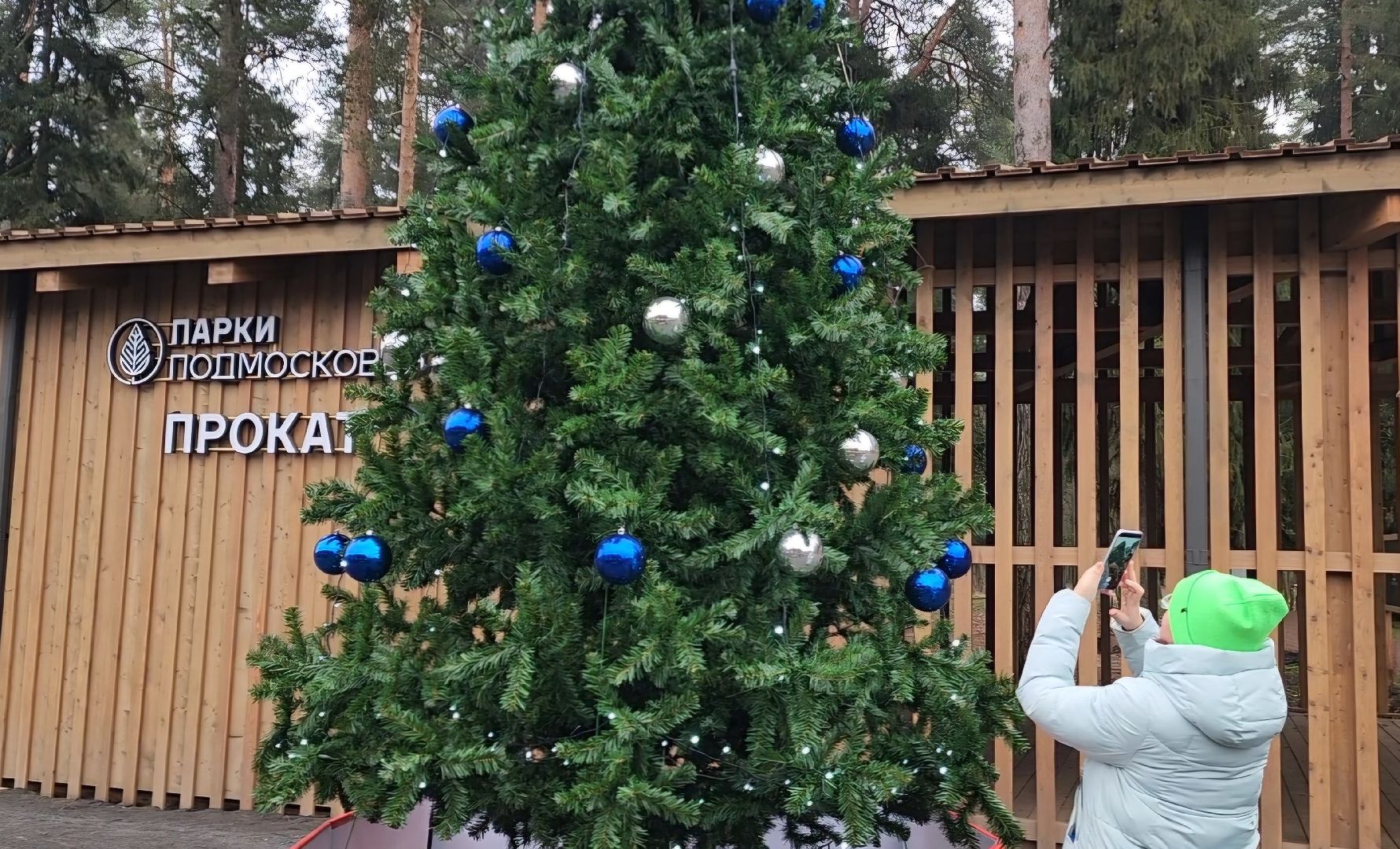 красноармейск, городской округ пушкинский, первый день зимы, новогодние украшения,
