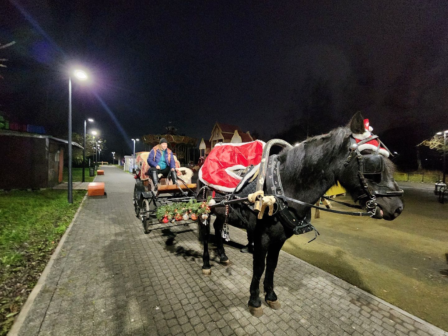 чехов, городской парк, открытие зимнего сезона, проект губернатора московской области, зима в подмосковье, праздничная программа, концерт, театрализованное представление, песни и танцы, народные игры и забавы, мастер-классы, зажжение огней на елке, открытие резиденции деда мороза, почта деда мороза,анимация, конкурсы, письма деду морозу,программа зимний калейдоскоп,катание на лошадях ,