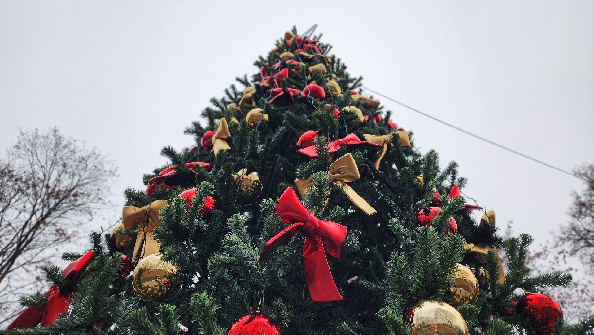 зима в подмомсковье, праздник, парки подмосковья, лосино-петровский,
