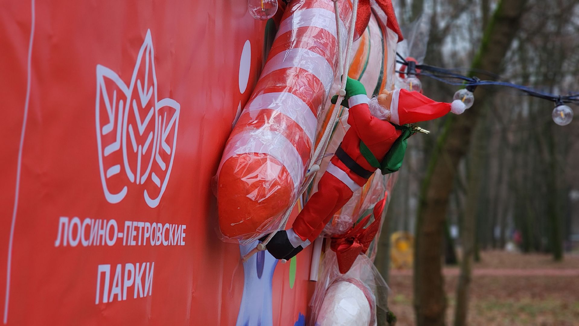 зима в подмомсковье, праздник, парки подмосковья, лосино-петровский,