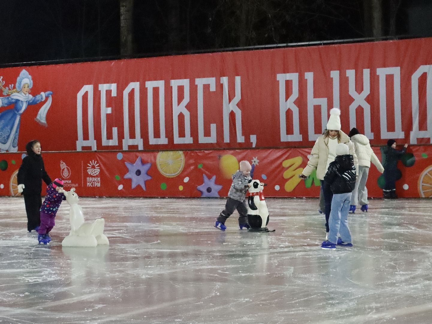 истра, каток, зима в подмосковье,
